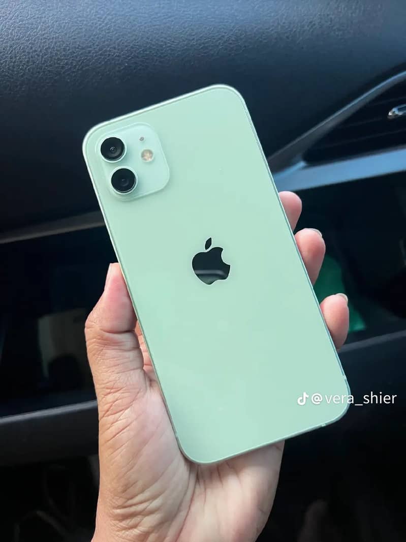 Apple iPhone 12 1