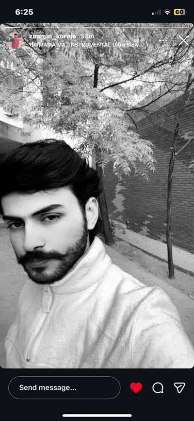 Zamin