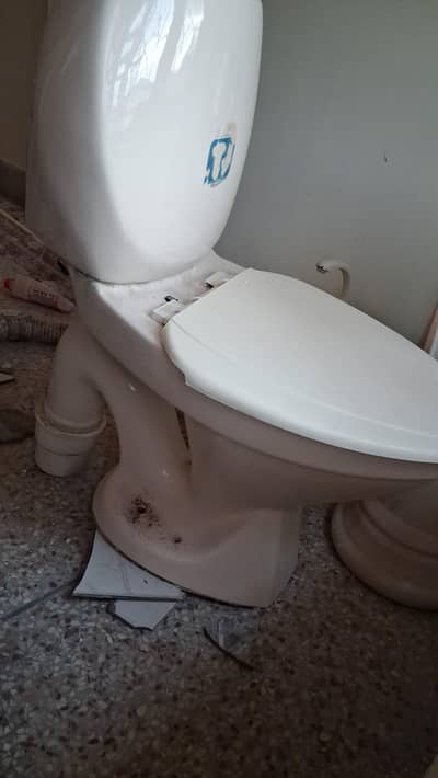 toilet seat for sale