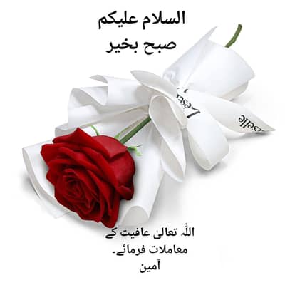 Hand writing assignment English and urdu
