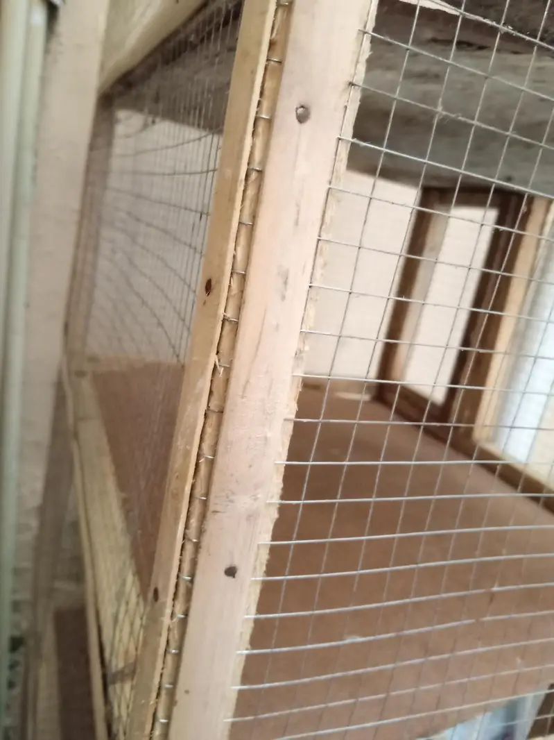Cage for sale 03165075810 — photo 3