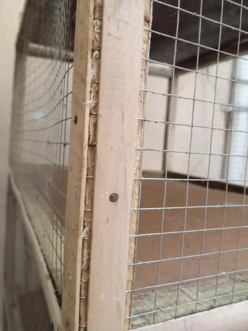 Cage for sale 03165075810 — photo 4