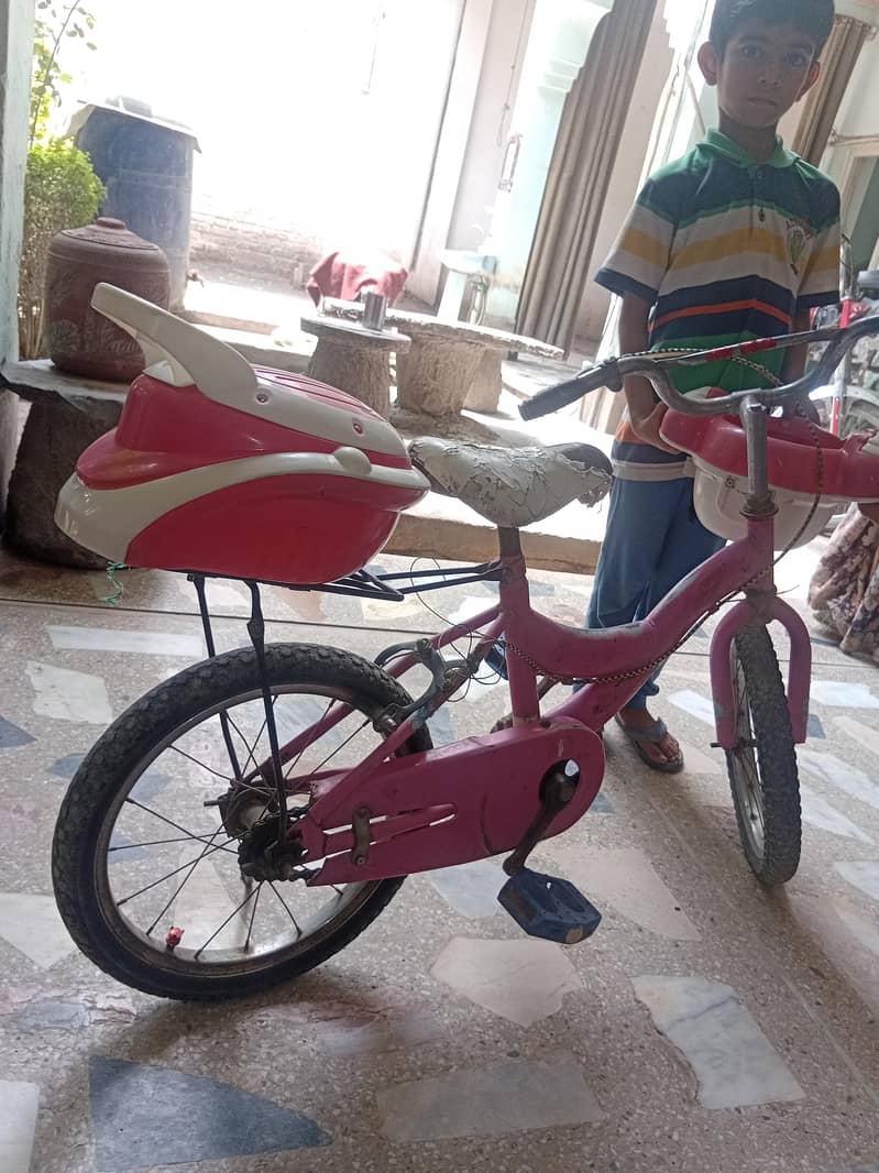 children cycle 0