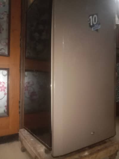 Pel room refrigerator