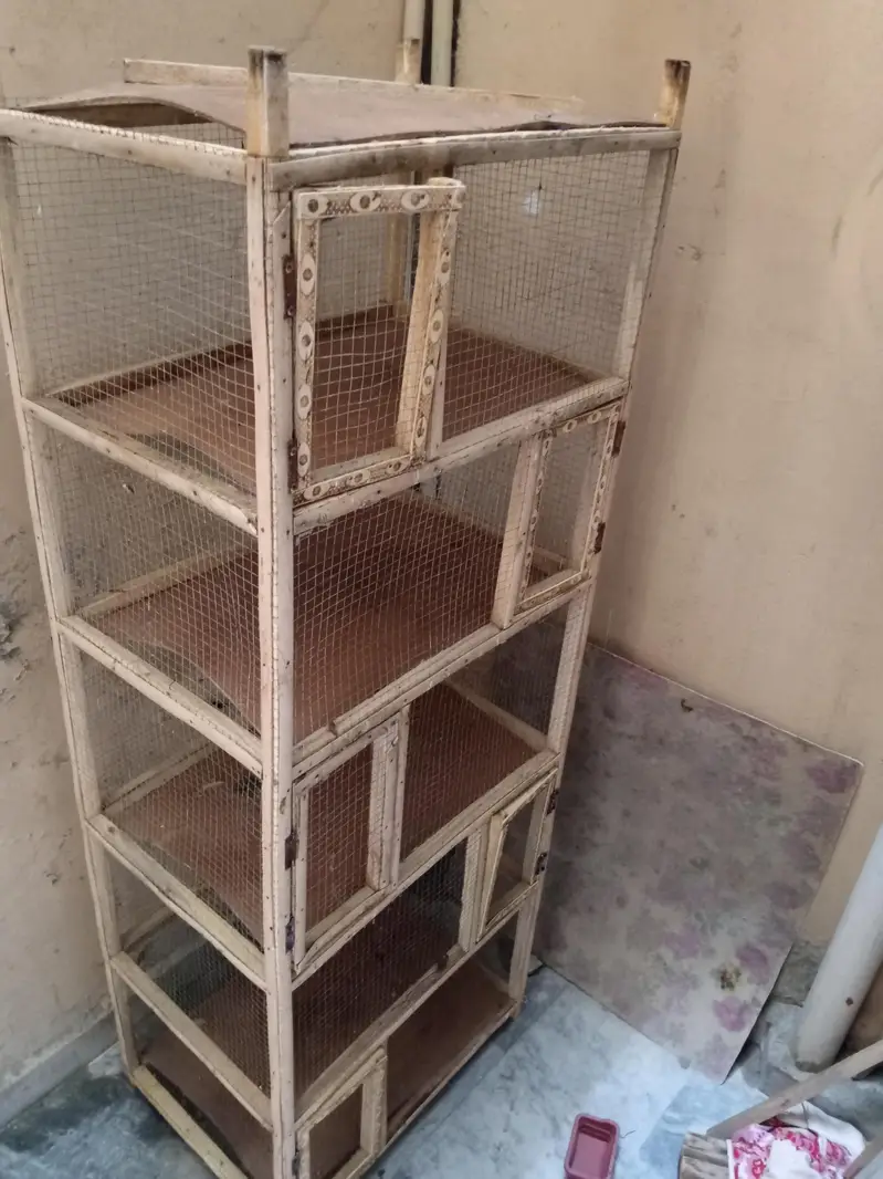 6ft cage for sale
