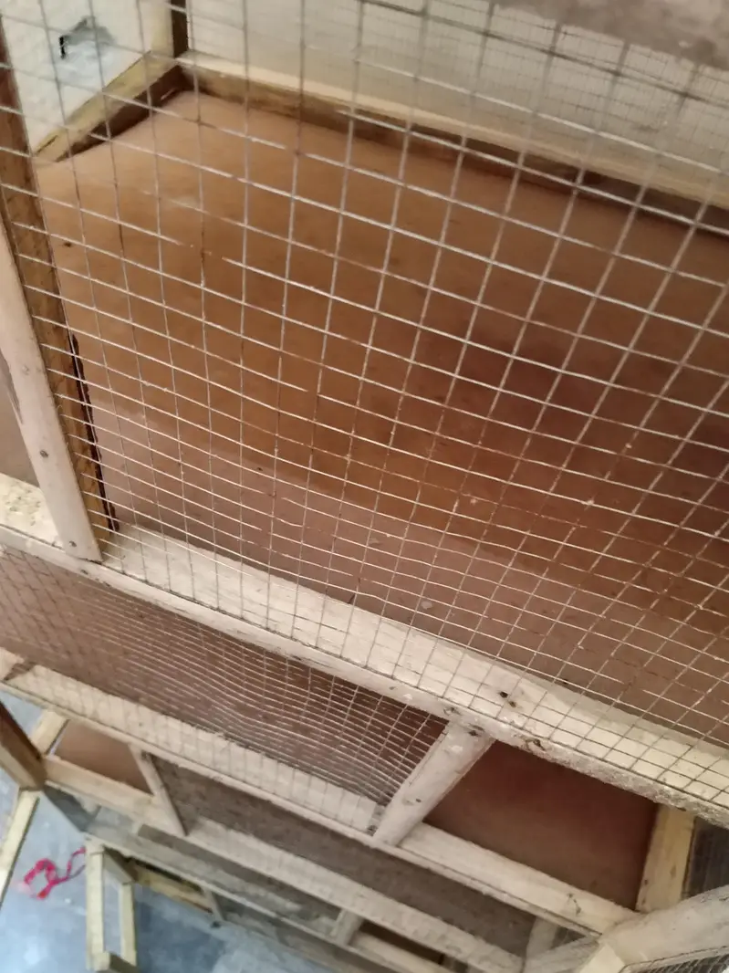6ft cage for sale — photo 2