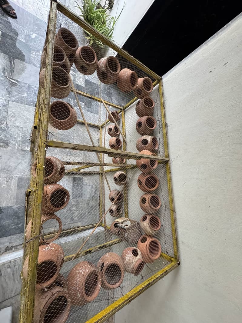Cages 1
