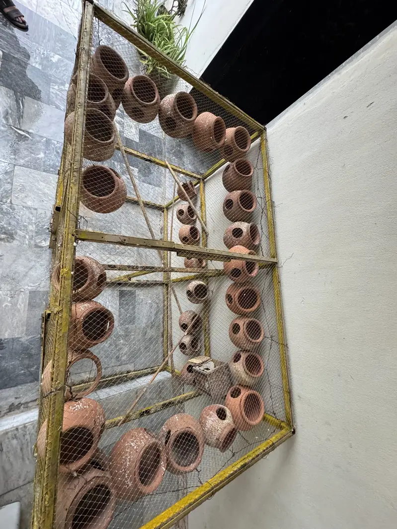 Cages — photo 2