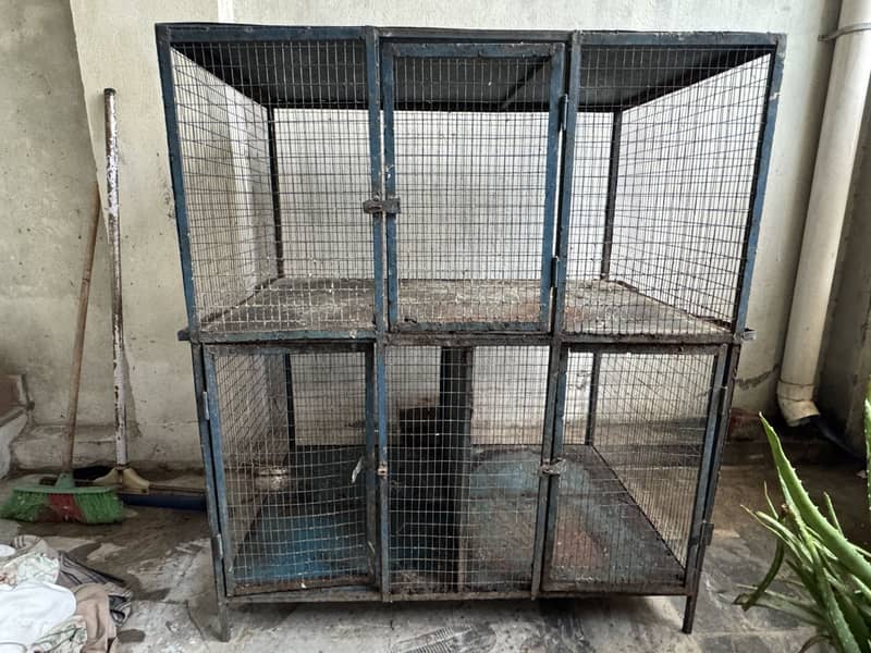Cages 3