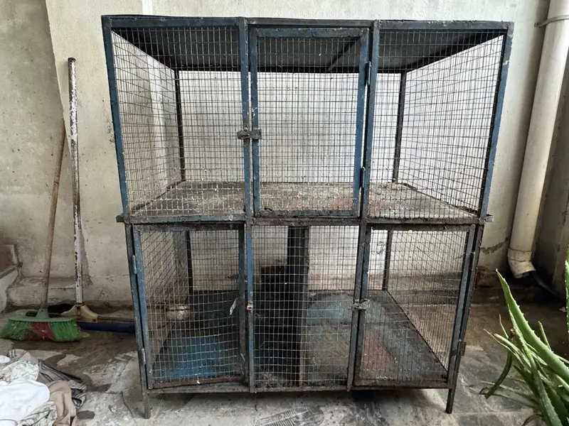 Cages — photo 4