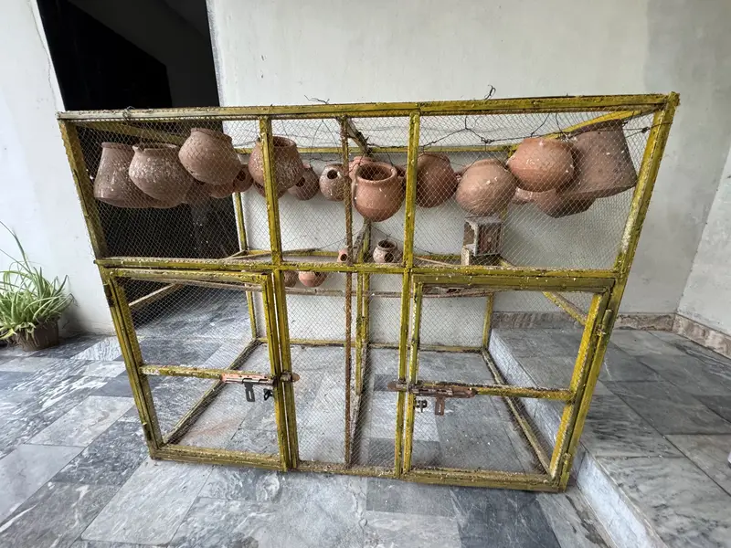 Cages — photo 5