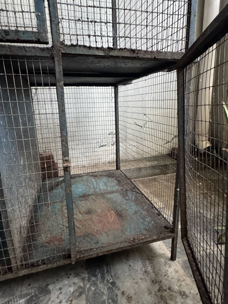 Cages 5
