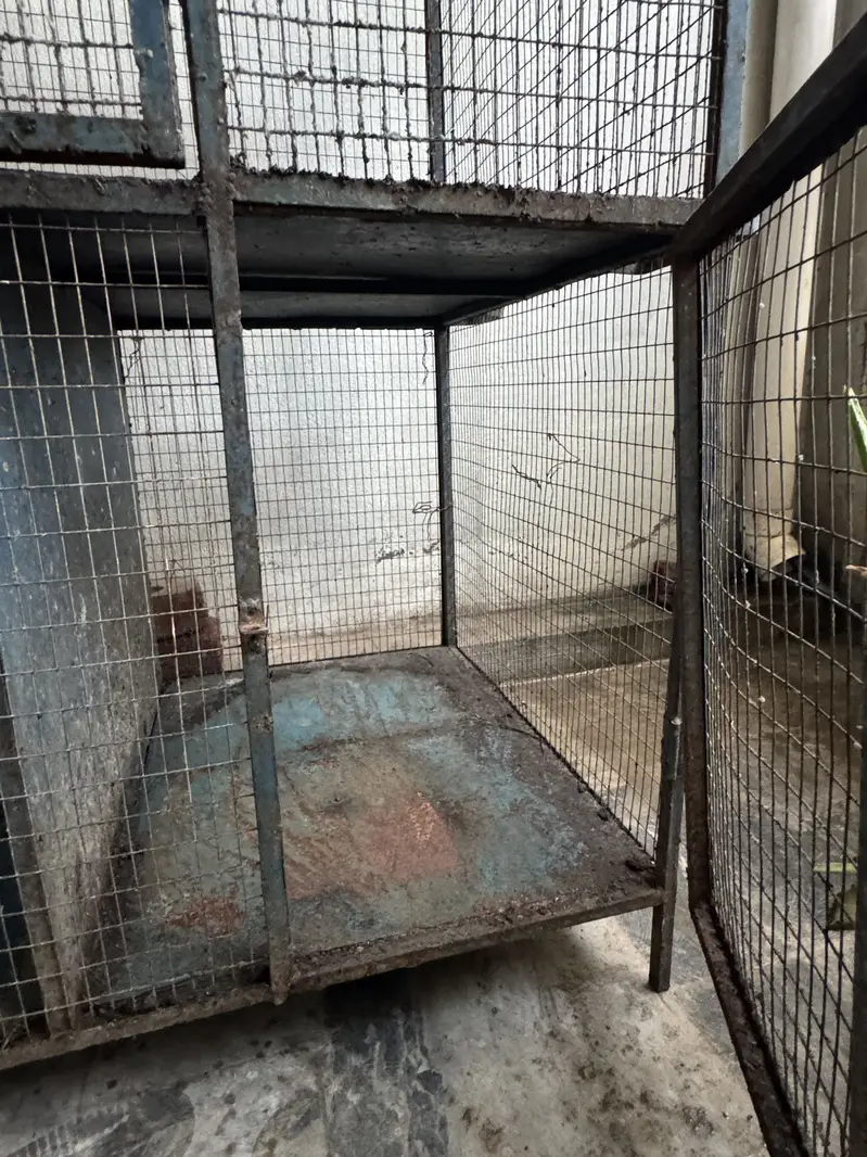 Cages — photo 6