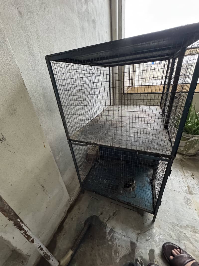 Cages 6