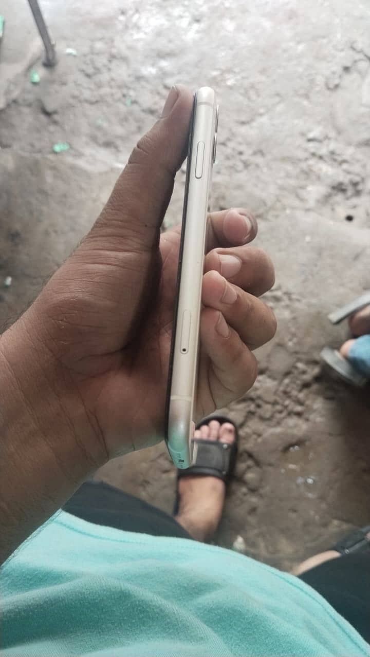Apple iPhone 11 0