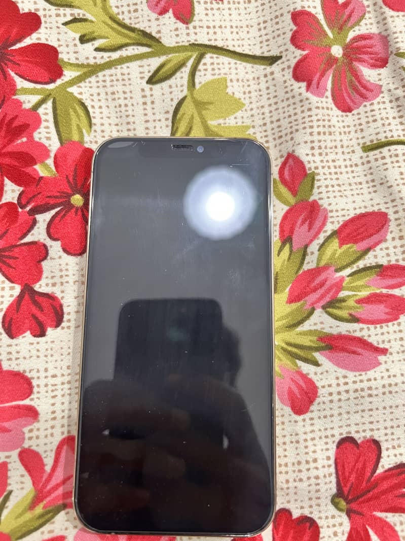 iPhone 12 Pro 0