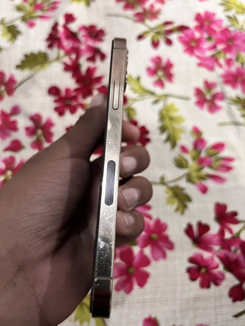 iPhone 12 Pro 5
