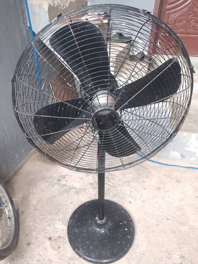 L g fan