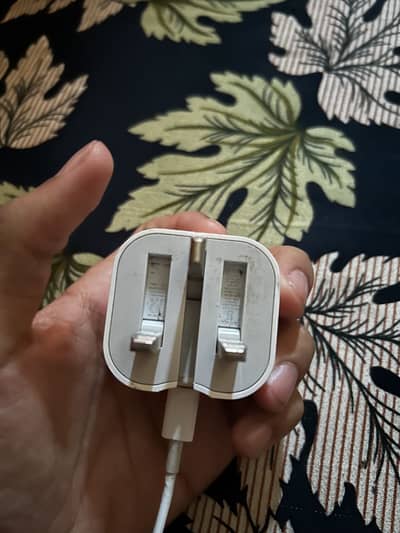 iPhone original charger