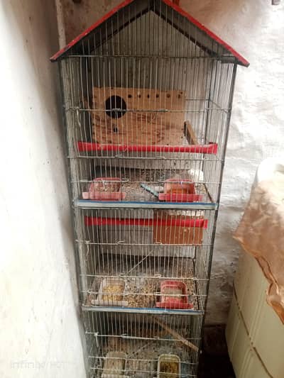 3step cage