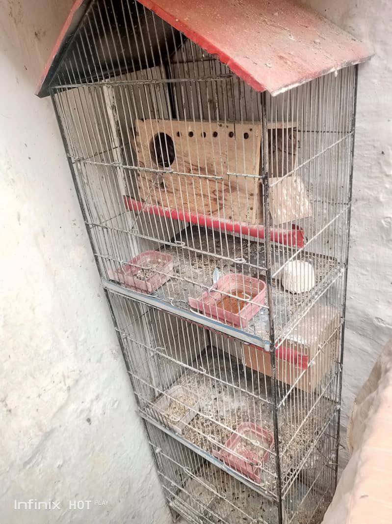 3step cage 1