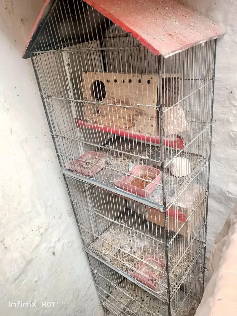 3step cage — photo 2