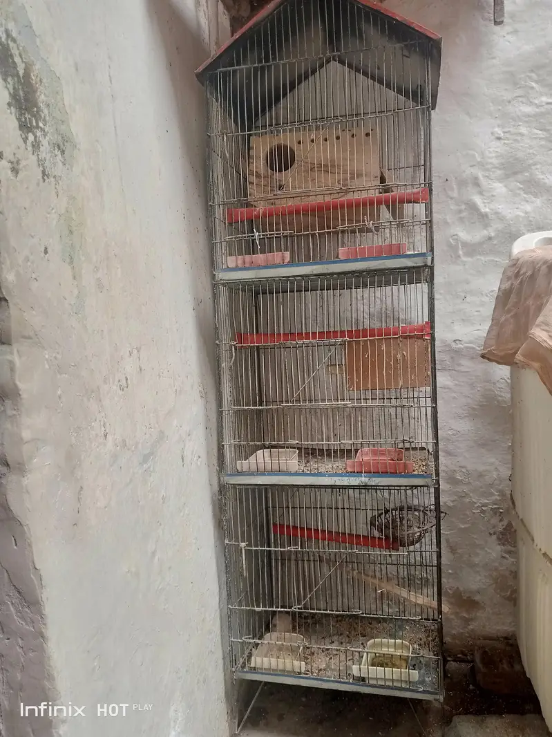 3step cage — photo 3