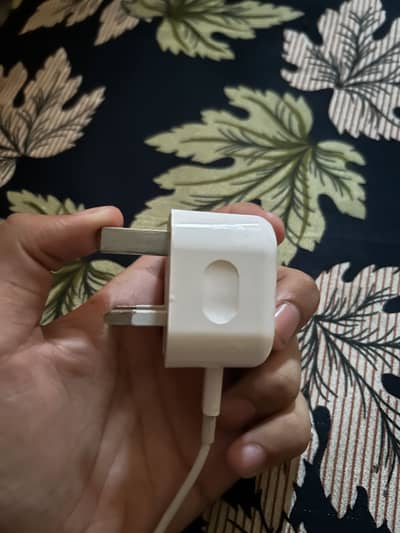 iPhone original charger