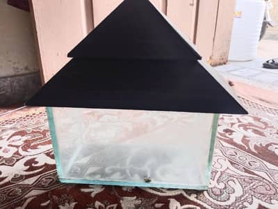 Fish aquarium
