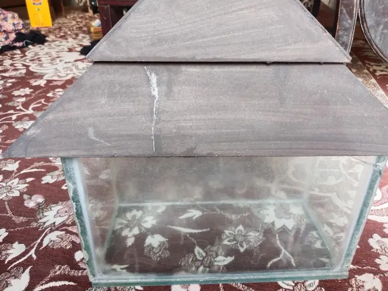 Fish aquarium — photo 2