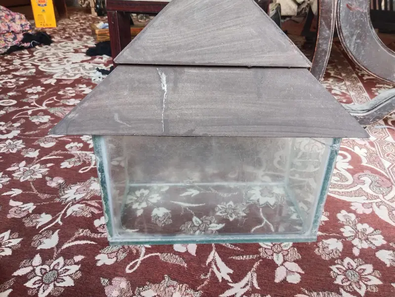 Fish aquarium — photo 3