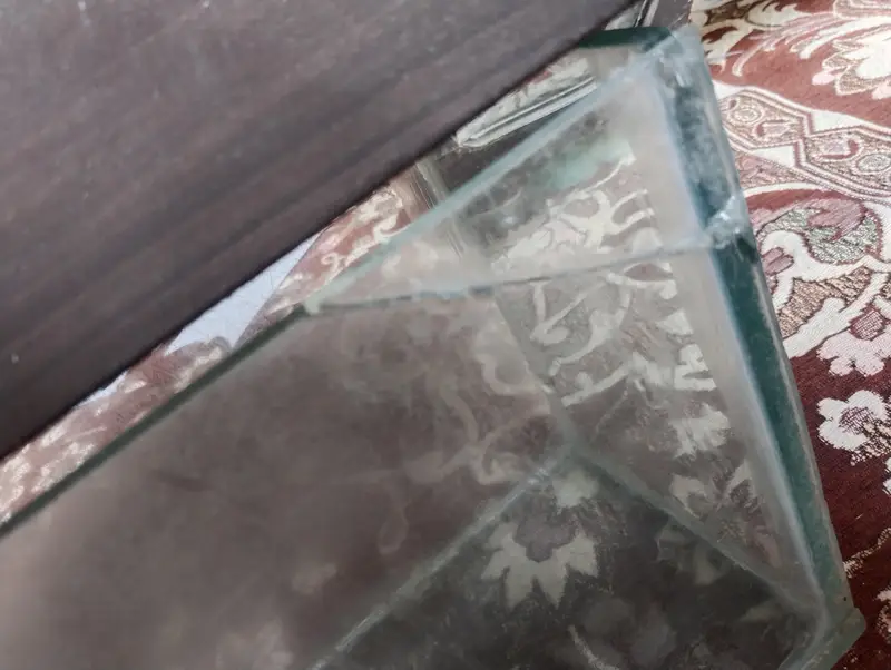 Fish aquarium — photo 4