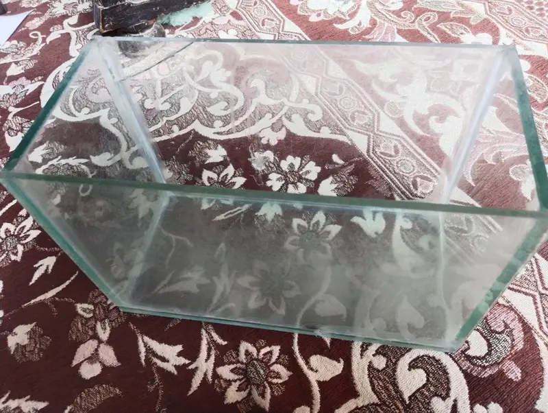 Fish aquarium — photo 8
