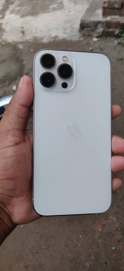 Apple iPhone 13 Pro Max