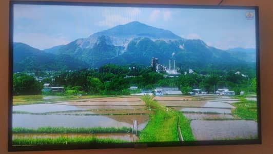 TCL smart TV 40"