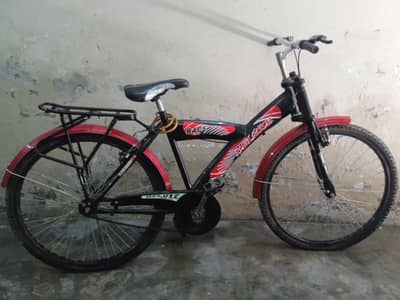 Deluxe Bicycle