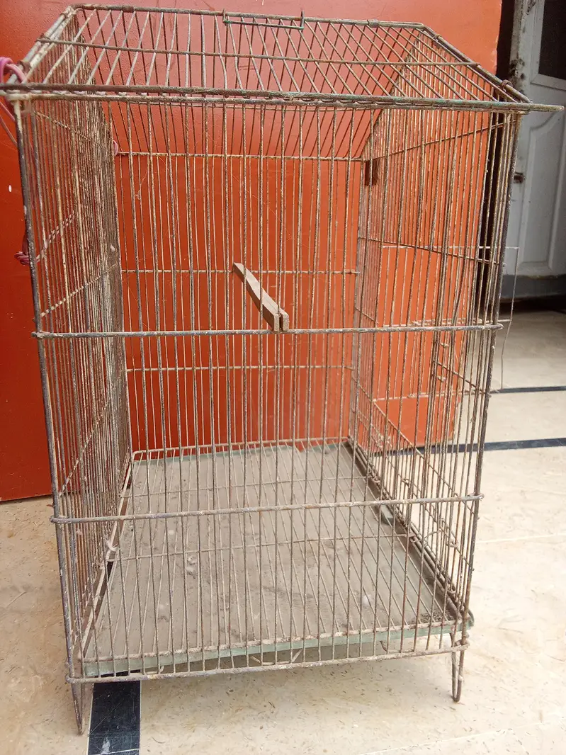 Birds Iron Cage with Tray — photo 2