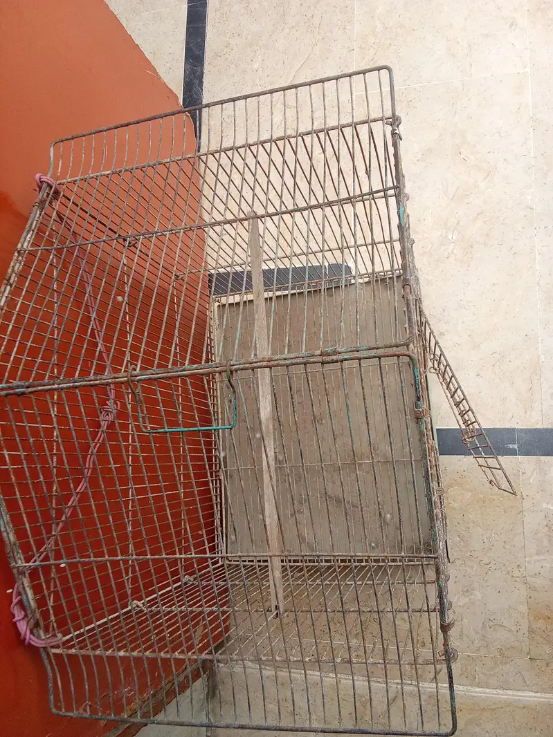 Birds Iron Cage with Tray — photo 3