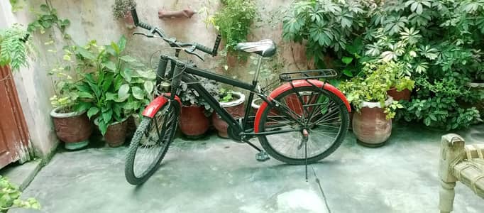 Cycle