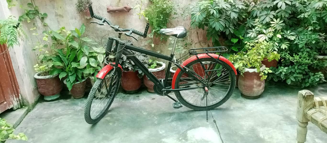 Cycle 0
