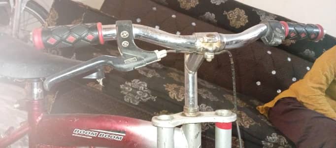 other bicycles