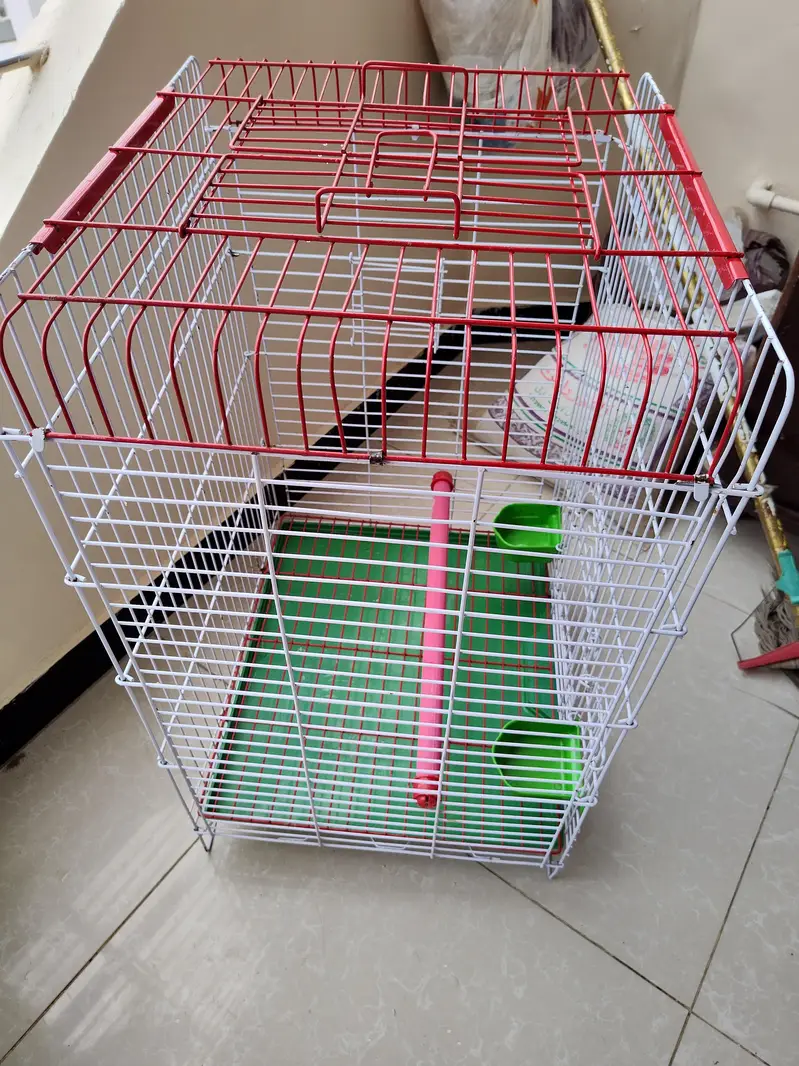 Big Cage — photo 3