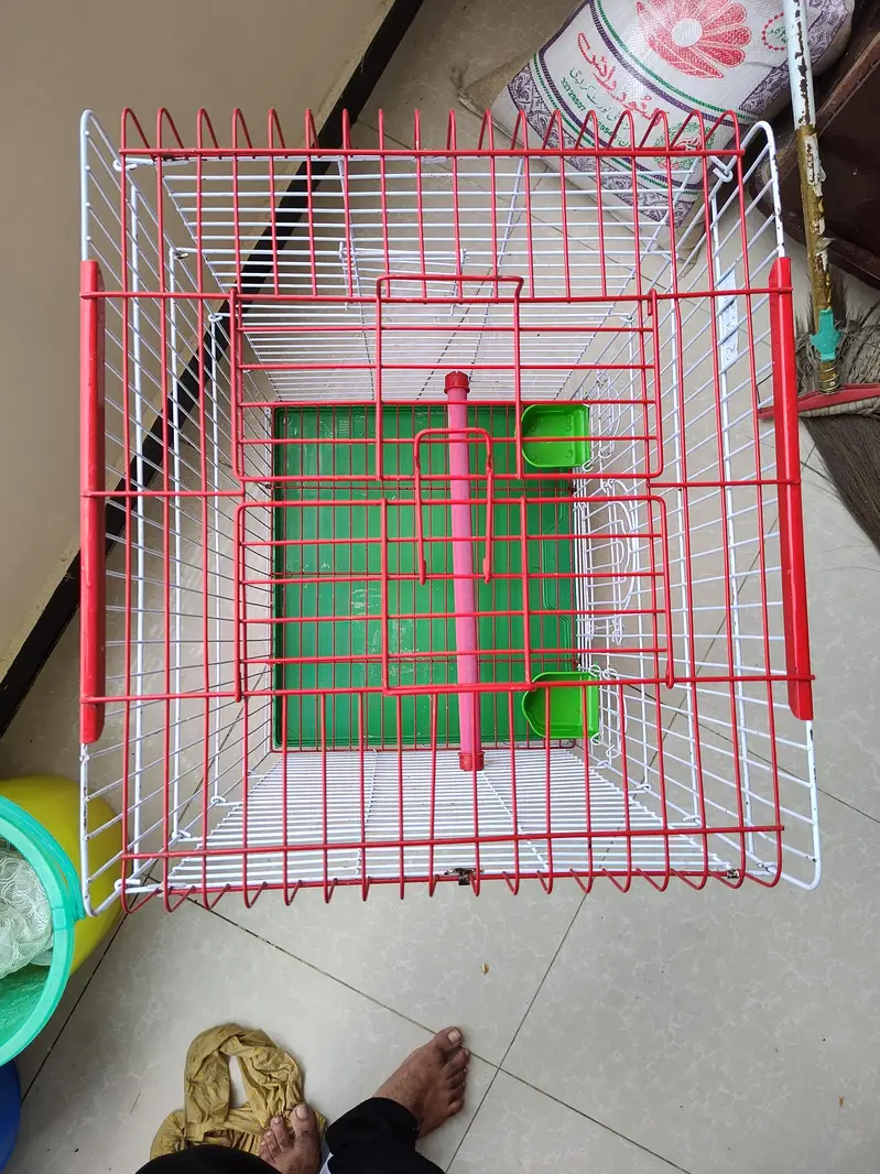 Big Cage — photo 4