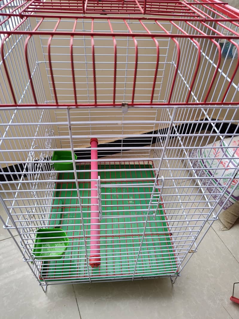 Big Cage 4