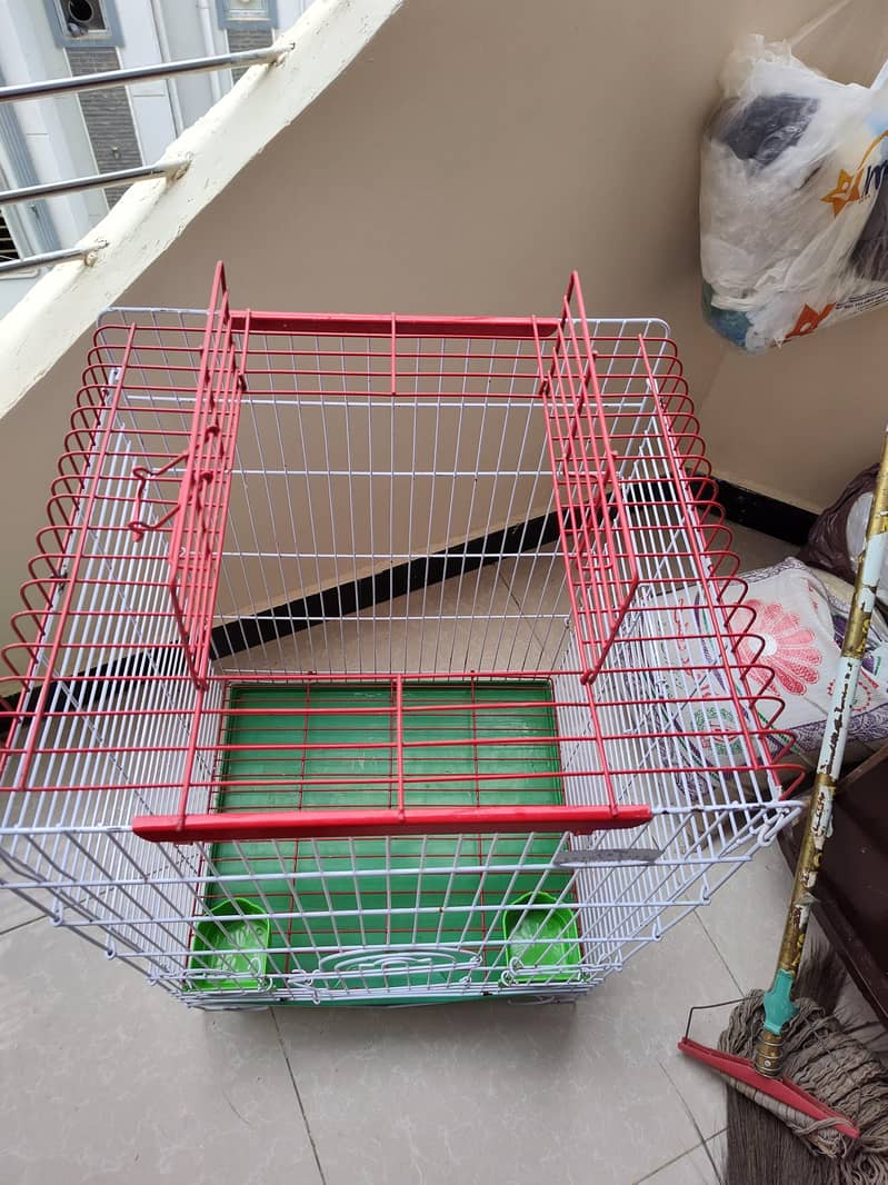 Big Cage 5