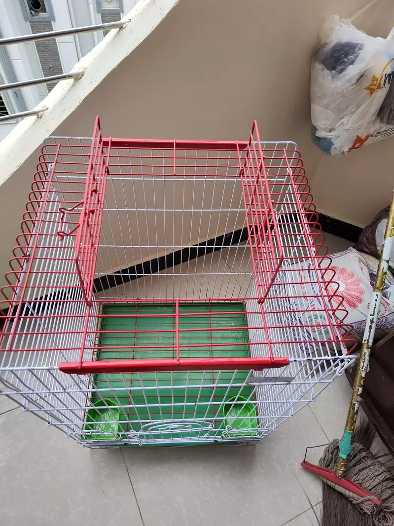 Big Cage — photo 6