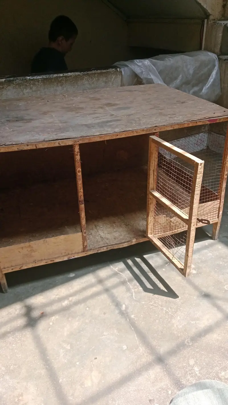 Wood cage — photo 2