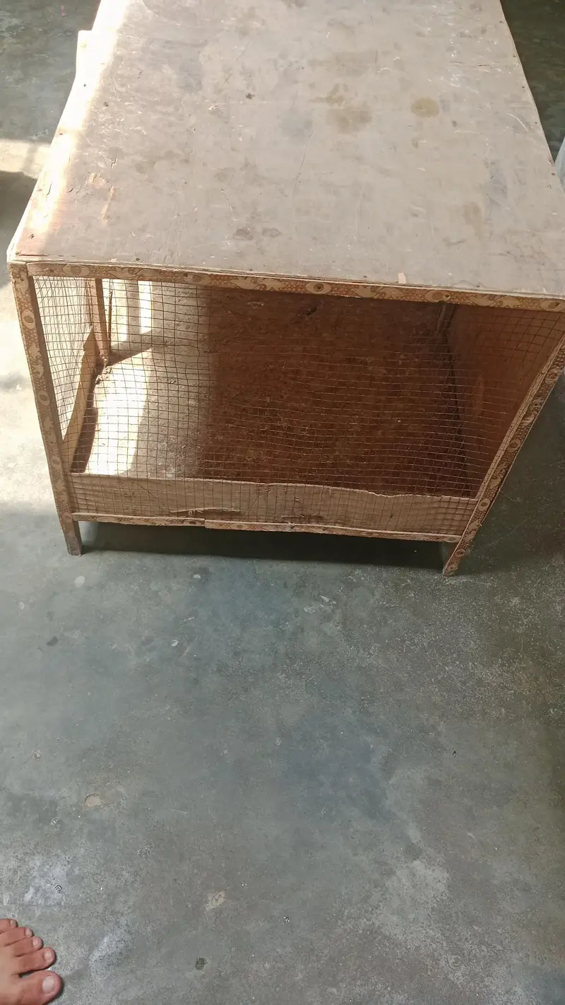 Wood cage — photo 4