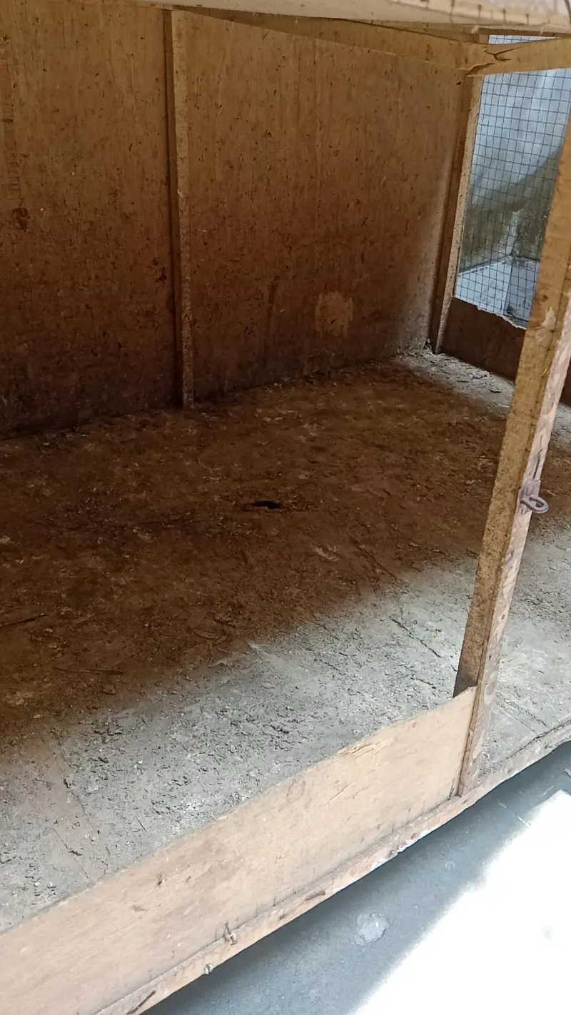 Wood cage — photo 6