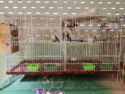 birds cage for sale